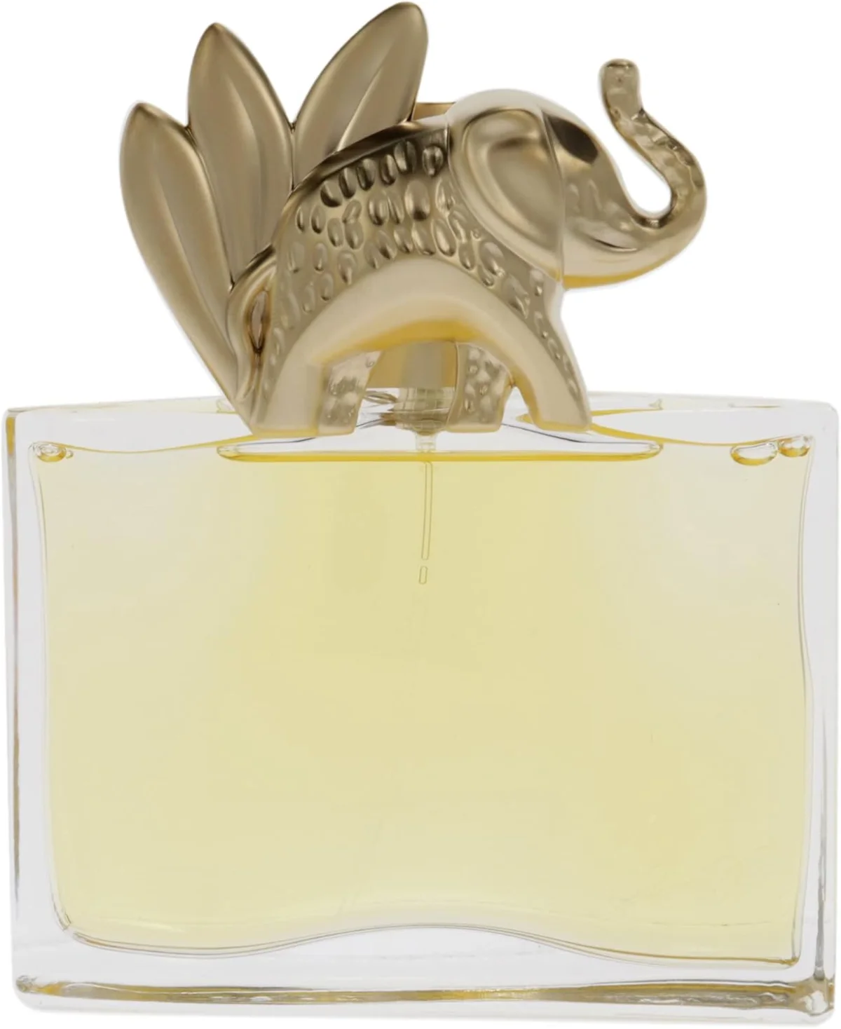 Kenzo Jungle Edp 100 ML